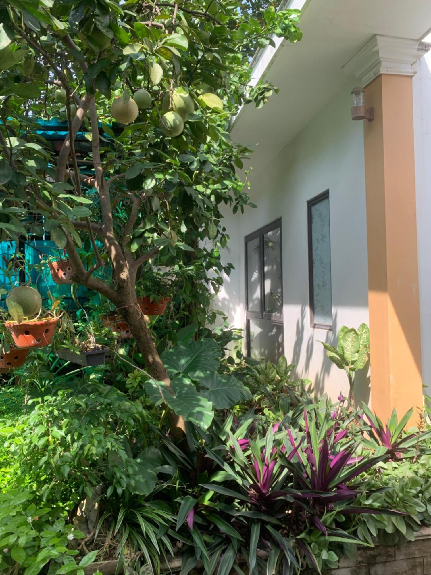 Tam Coc Minh Gia Homestay Ниньбинь Экстерьер фото